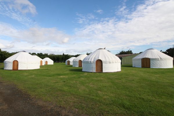 Multiple festival yurts from Roundhouse Yurts at Edinburgh.